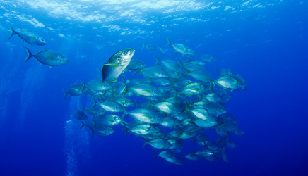 Similar image 10880189