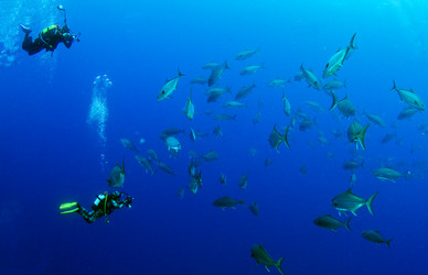 Similar image 10880197