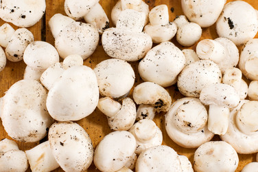 Similar image 10880984