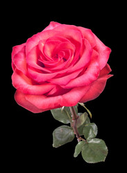 Similar image 10882731