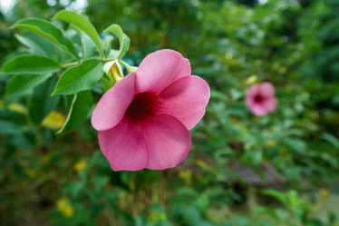 Similar image 10900992