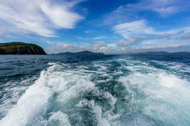 Similar image 10901004