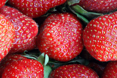 Similar image 10881554