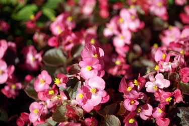 Similar image 10881538