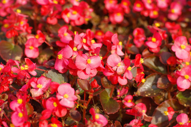 Similar image 10881541