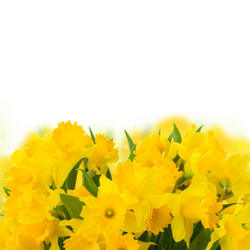 Similar image 10888770