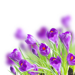 Similar image 10888774