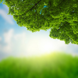 Similar image 10888777