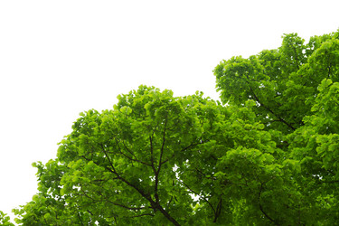 Similar image 10888778