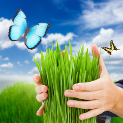 Similar image 10889061