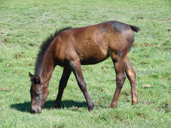 Similar image 10881750