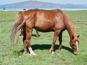 Similar image 10881752