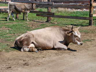 Similar image 10881753