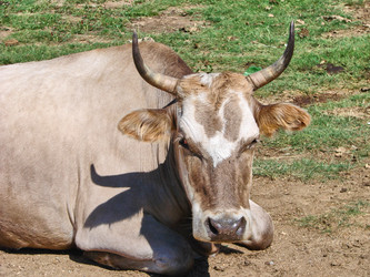 Similar image 10881754