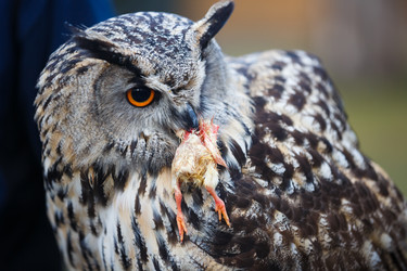 Similar image 10881882