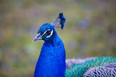 Similar image 10881883