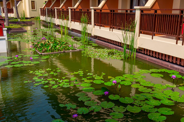 Similar image 10882051