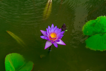 Similar image 10882052