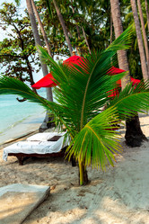 Similar image 10882054