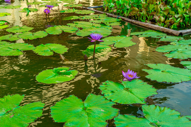 Similar image 10882064