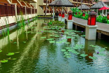 Similar image 10882082