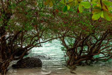 Similar image 10881993