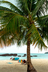 Similar image 10882098