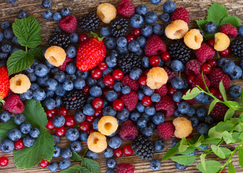 Similar image 10889042