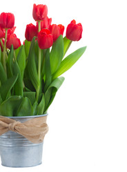 Similar image 10889068