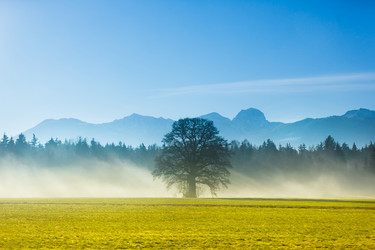 Similar image 10883500