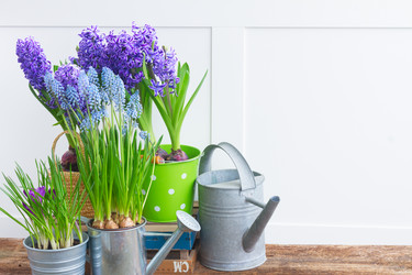 Similar image 10889023