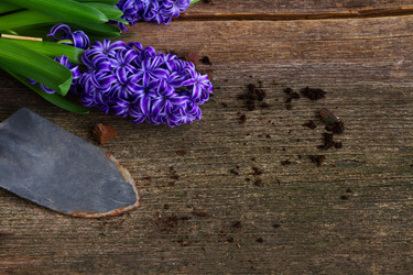 Similar image 10889025