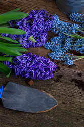 Similar image 10889029