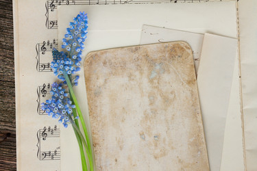 Similar image 10889031