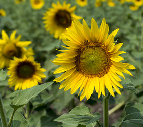 Similar image 10882647