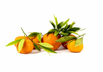 Similar image 10882648