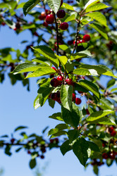 Similar image 10882649