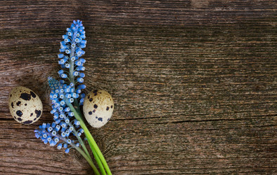 Similar image 10889032