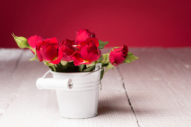 Similar image 10893558