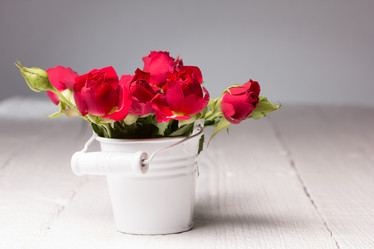 Similar image 10893559