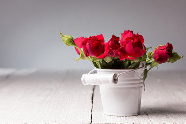 Similar image 10893560