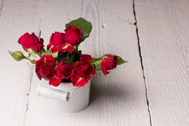 Similar image 10893571