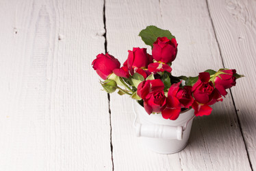 Similar image 10893572