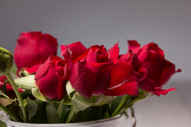 Similar image 10893576