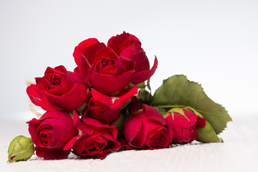 Similar image 10893578