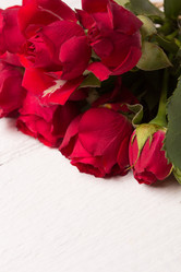 Similar image 10893580