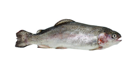 Similar image 10882574