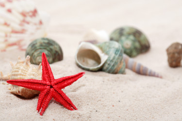 Similar image 10882577