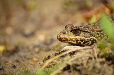 Similar image 10892911