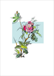 Similar image 10882722